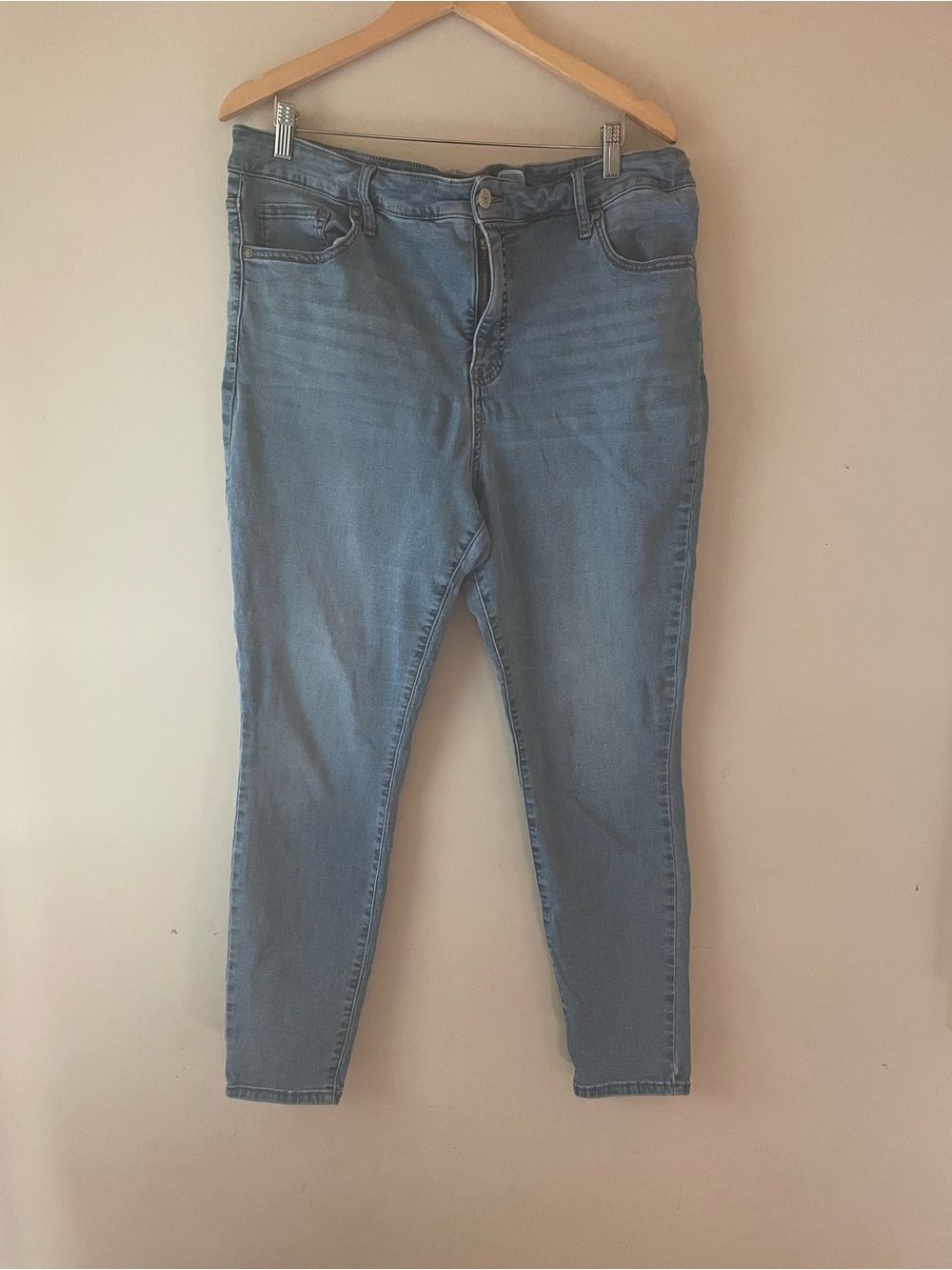 🐱 Terra & Sky | Sz 18W Skinny Jeans